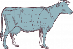 Cattle Calf Beef Meat - Cattle parts segmentation map 1155*773 ...
