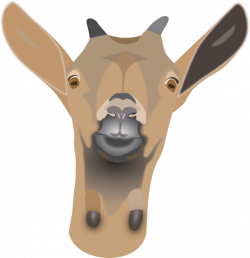 Goat Head 2 Clip Art at Clker.com - vector clip art online, royalty ...