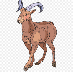 Goat Cartoon clipart - Sheep, Goat, Goats, transparent clip art