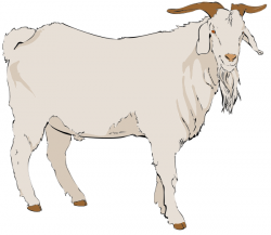 Free Buck Goat Clipart - Clip Art Image 1 of 9