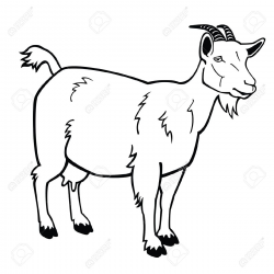 Goat Clipart Black And White | Free download best Goat ...