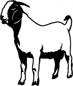 ➡ Goat Clip Art Images Black And White 2019 | autism | Boer ...