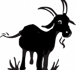 Black Bengal goat Boer goat Kinder goat Sheep Clip art - sheep 622 ...
