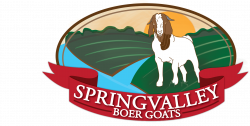 Registered Boer Goats - Spring Valley Boers