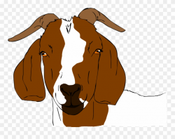 Boer Goat Clip Art - Boer Goats Clip Art - Png Download ...