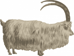 Gafr mynydd | Mountain goat Icons PNG - Free PNG and Icons Downloads