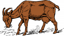 Clipart - brown goat