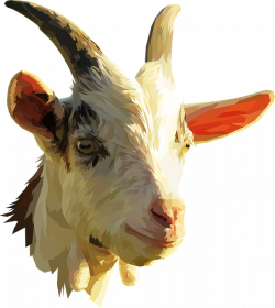Free photo Goat Head Animal Low Poly Farm - Max Pixel