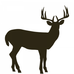 Mountain goat clip art - crazywidow.info