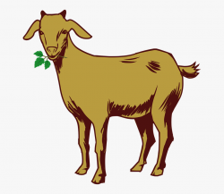 Billy Goat Clipart Chivo - Goat Clipart, Cliparts & Cartoons ...