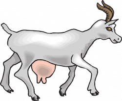 Clipart goat she goat - Graphics - Illustrations - Free Download on ...