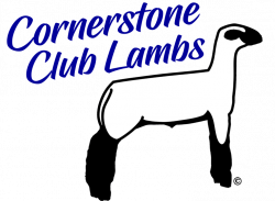 Show Lamb Silhouette at GetDrawings.com | Free for personal use Show ...