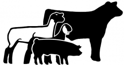 Animl clipart livestock show #7 | 4H projects and fun ...