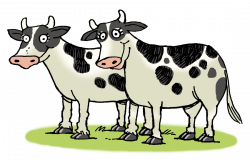 Dairy cattle Ox You have two cows Clip art - sheep 1100*704 ...