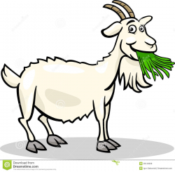 Goat Eating Grass Clipart