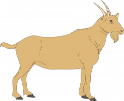 19 Goat clipart HUGE FREEBIE! Download for PowerPoint presentations ...