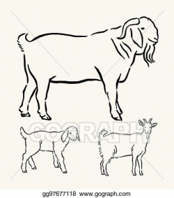 Vector Art - Goat farm animal hand drawing. EPS clipart ...