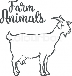 Farm pet goat sketch drawn by hand, cattle, milk and goat ...