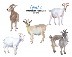 Cute goat Bison clipart - Watercolor nature clip art - Animal watercolor  illustration