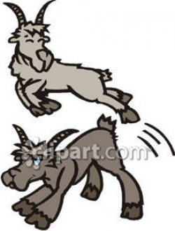 Cartoon Goats Jumping - Royalty Free Clipart Picture
