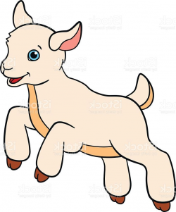 Baby Goat Clipart | Free download best Baby Goat Clipart on ...