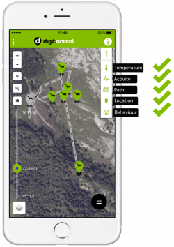 Goats | GPS goat tracker - Tracking and monitoring livestock