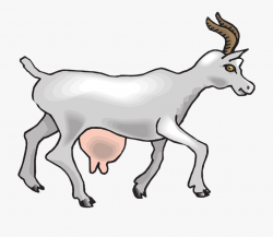 Free Goat Clipart - Animals That Give Us Milk #93167 - Free ...