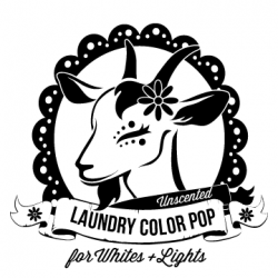 Laundry Color Pop — shecology