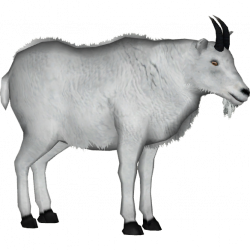 Mountain Goat PNG HD Transparent Mountain Goat HD.PNG Images. | PlusPNG