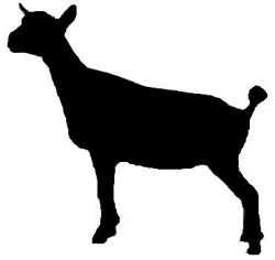 Image result for silhouette nigerian goat | dairy goat pic ...