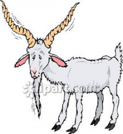 Old goat clipart » Clipart Station