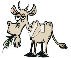 Old Goat Clip Art | Animated Goat Clipart | ClipArtHut ...