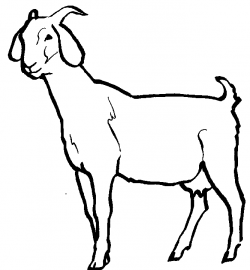 Goat Outline Clip Art free image