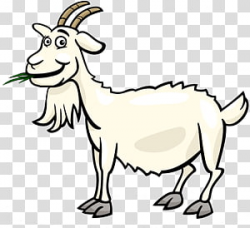 Goat , goat transparent background PNG clipart | PNGGuru