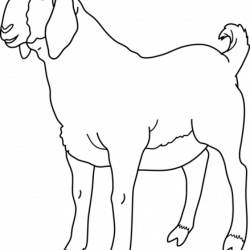 Goat Clipart Black And White fire clipart hatenylo.com
