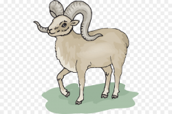 Goat Cartoon clipart - Sheep, Goat, Illustration ...