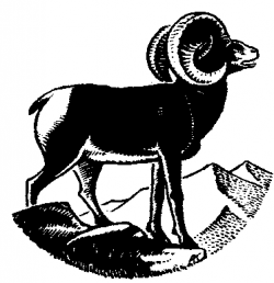 Free Ram Clipart - Clip Art Image 1 of 7