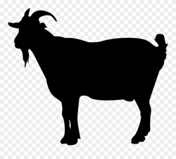 Mutton Clipart Goat - English Bulldog Silhouette - Png ...