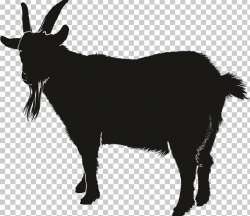 Boer Goat Silhouette PNG, Clipart, Animals, Black And White ...