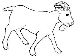Goat line drawing clipart | Artwork in 2019 | Art, Drawing ...