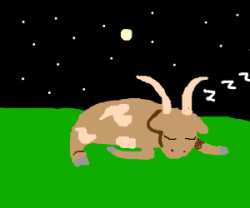 A Sleeping Goat - Drawception