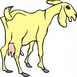 Goat Yellow Standing Animal PNG Image - Picpng