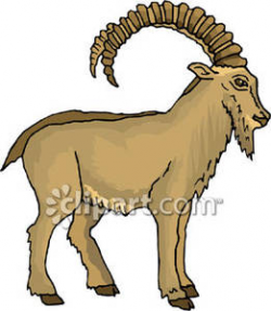 Brown Mountain Goat - Royalty Free Clipart Picture