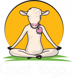 Goat Yoga New York | Capital Region | Check Goat Yoga Off Your ...