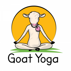 The Original Goat Yoga Experience – Goat Yoga Carlisle, Pennsylvania ...