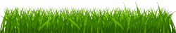 Grass Path PNG Clip Art - Best WEB Clipart