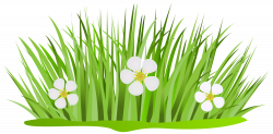28+ Collection of Patch Of Grass Clipart | High quality, free ...