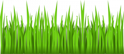 Free Animated Grass Cliparts, Download Free Clip Art, Free ...
