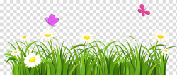 Grass Borders transparent background PNG cliparts free ...