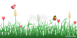 Green grass with flowers and butterflies nature border ...